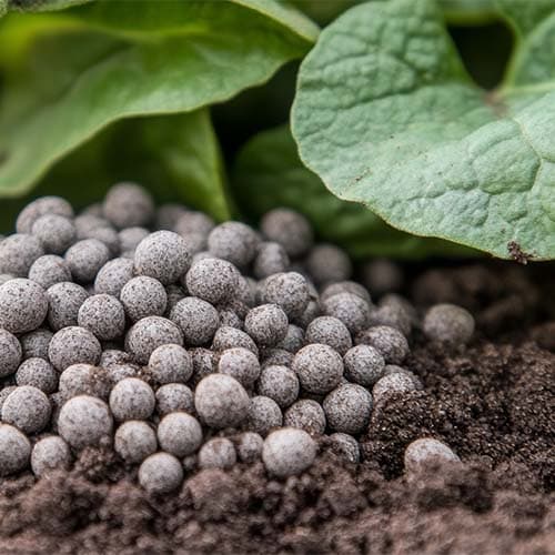 Precision application of organic fertilizer